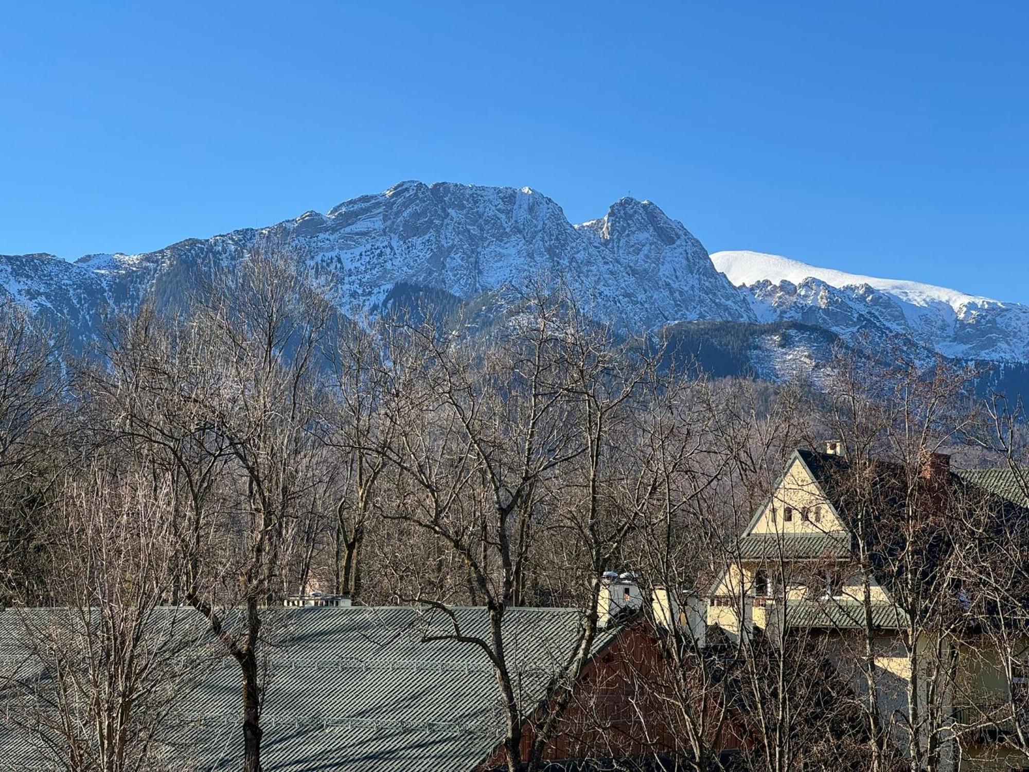 Dafne Zakopane Bed & Breakfast Dış mekan fotoğraf