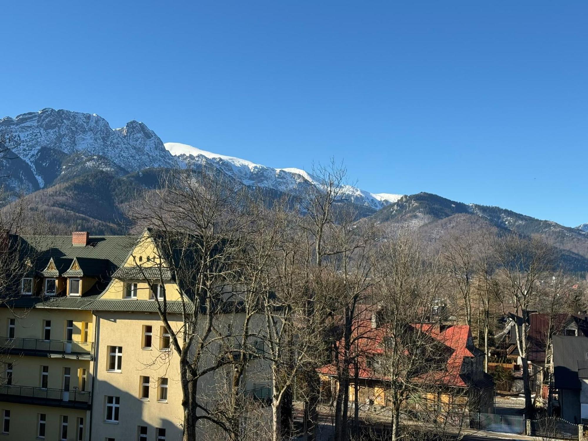 Dafne Zakopane Bed & Breakfast Dış mekan fotoğraf